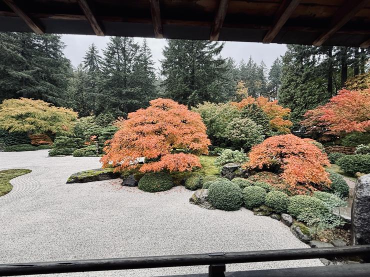 Zen garden with fall color report