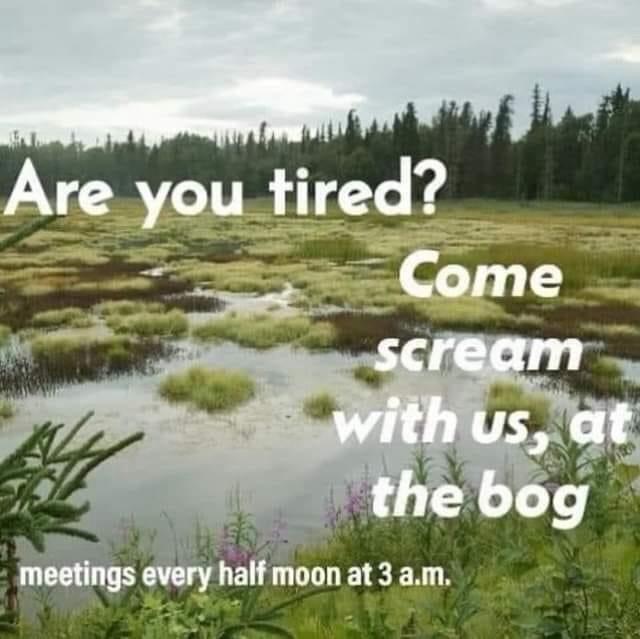 Are you tired?
Come scream with us, at the bog
meetings every half moon at 3am

[Picture of a bog]