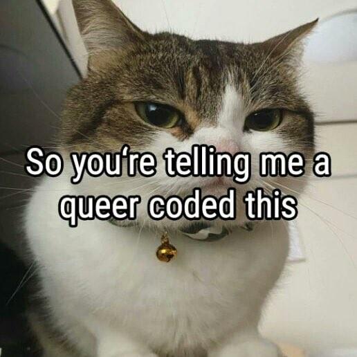 Photograph of a cat with the caption "So you're telling me a queer coded this?"