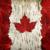 Meanwhile in Canada's avatar