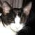 Nate Cull (.social)'s avatar