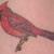 Vicki :rainbow_flag:'s avatar