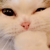 OnlyBeans's avatar